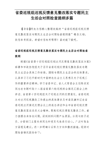 省委巡视组巡视反馈意见整改落实专题民主生活会对照检查提纲多篇