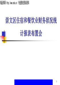 崇文区住宿和餐饮业财务状况统计报表布置会(ppt65)(1)