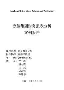 康佳集团财务报表分析案例报告