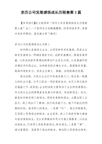 亲历公司发展感悟成长历程集聚3篇