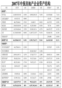 房地产企业中报分析（合并财务报表）-PowerPoint