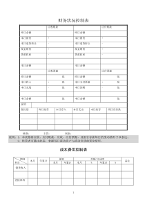 财务状况控制表（DOC76页）