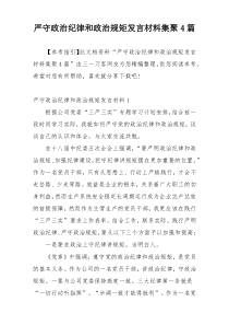 严守政治纪律和政治规矩发言材料集聚4篇