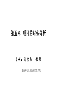 技术经济学第5章投资项目财务分析