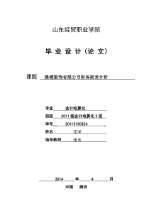 晨媛服饰财务报表分析毕业论文