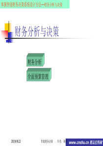 智能财务决策系统-财务分析与决策(1)