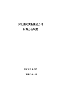 河北滦河实业集团公司财务分析制度