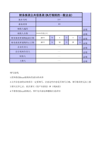 标准财务报表格式