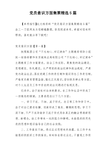 党员意识方面集聚精选5篇