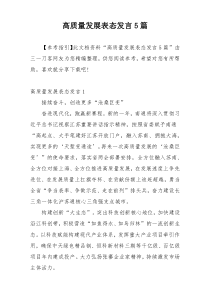 高质量发展表态发言5篇