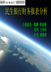 民生银行财务报表分析(1)