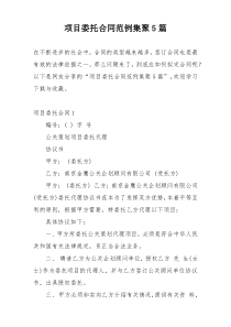 项目委托合同范例集聚5篇