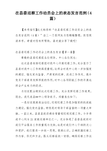 在县委巡察工作动员会上的表态发言范例（4篇）