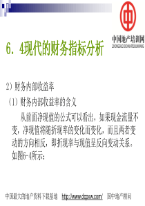 现代的财务指标分析