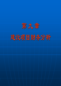 第10章建设项目财务分析