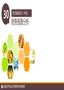 第30章财务报表分析