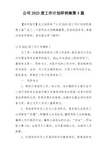 公司2023度工作计划样例集聚3篇