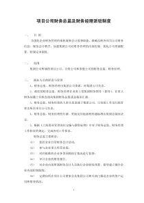 项目公司财务总监及财务经理派驻制度