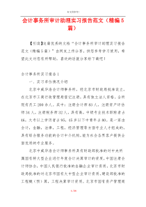 会计事务所审计助理实习报告范文（精编5篇）