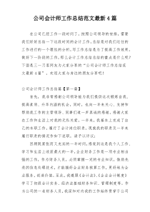 公司会计师工作总结范文最新4篇