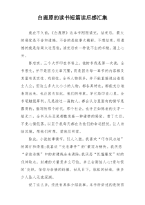 白鹿原的读书短篇读后感汇集