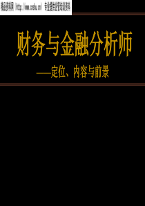 财务与金融分析的定位、内容和前景(1)