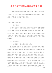 关于三抓三提升心得体会范文5篇