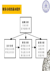 财务分析(三)