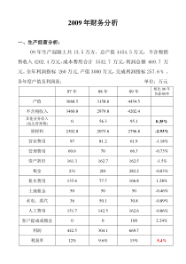 财务分析(经典范文)