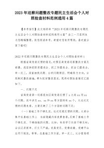 2023年巡察问题整改专题民主生活会个人对照检查材料范例通用4篇