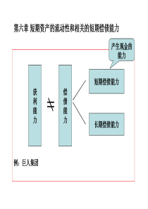 财务分析6短期资产的流动性和相关