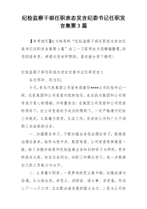 纪检监察干部任职表态发言纪委书记任职发言集聚3篇