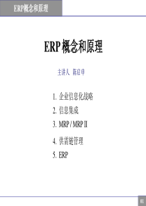 ERP概念和原理(陈启申)