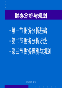 财务分析与规划