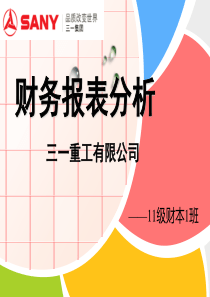 财务报表分析三一重工