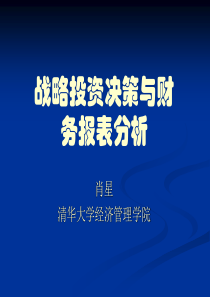 财务报表分析与战略投资决策(PPT 195页)