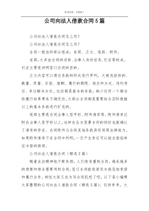 公司向法人借款合同5篇