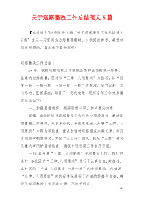 关于巡察整改工作总结范文5篇