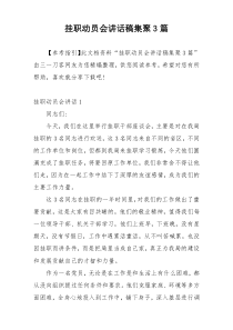 挂职动员会讲话稿集聚3篇