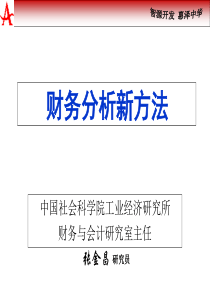 财务分析新方法(1)