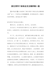 新任领导干部表态发言稿样稿3篇