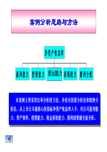 财务分析案例98591143