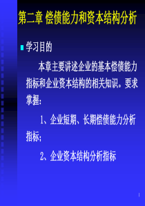 财务报表分析第二章(偿债能力)