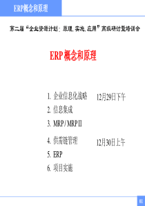 ERP概念和原理（PPT120页）