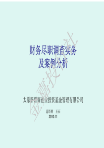 财务尽职调查实务及案例分析