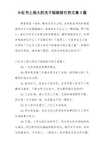 小红书上很火的关于砥砺前行的文案3篇