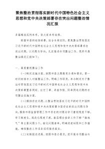 聚焦整治贯彻落实新时代中国特色社会主义思想和党中央决策部署存在突出问题整治情况汇报