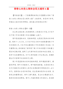 青春心向党心得体会范文通用4篇