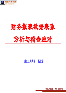 财务报表数据表象分析与稽查应对