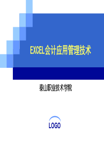 EXCEL会计应用管理技术